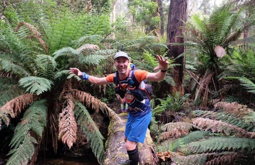 dan trail ferns